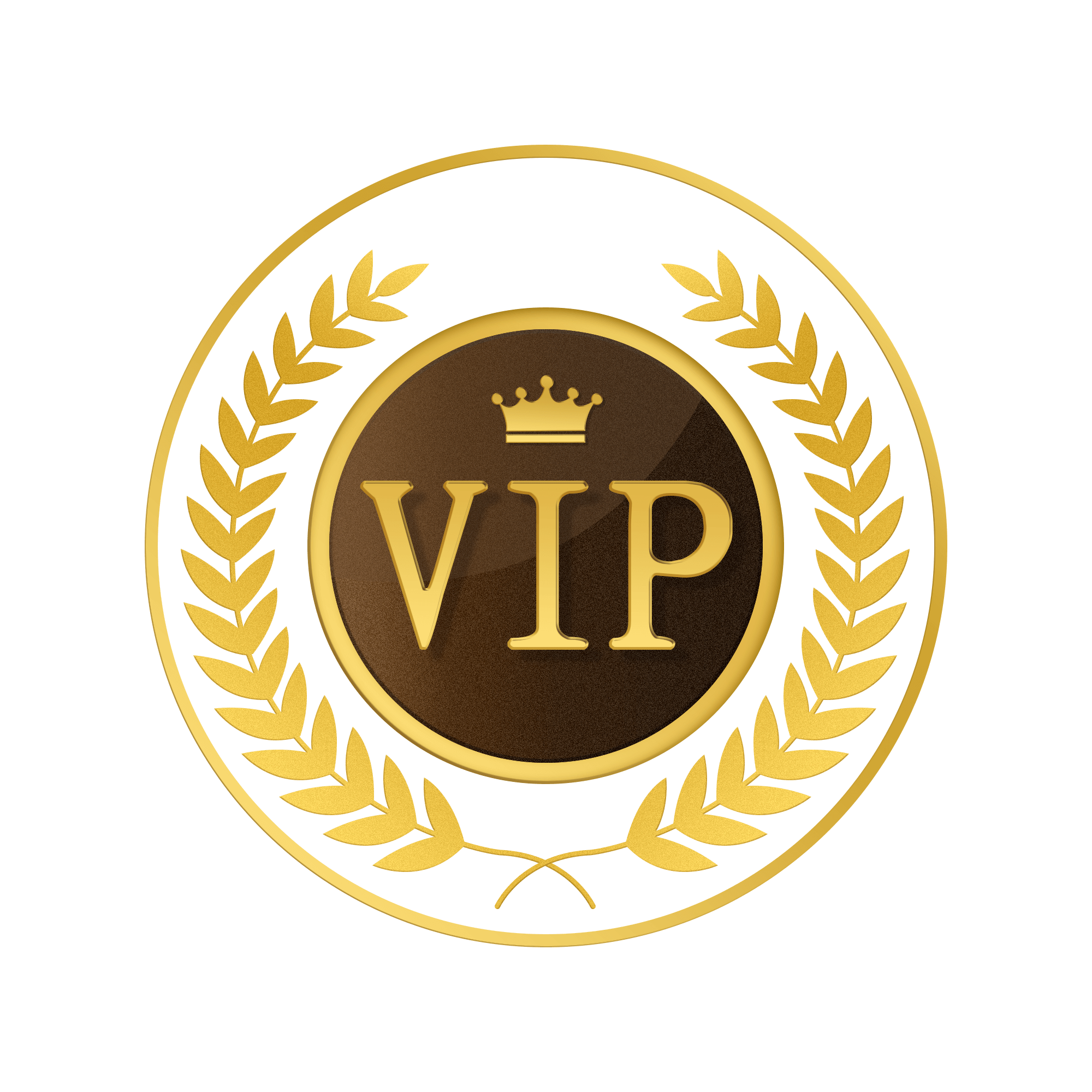 VIP Paketleri